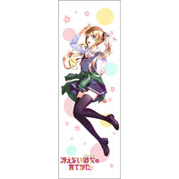 Saenai Hiroin no Sodatekata Tableau à Suspendre