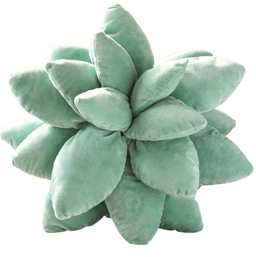 45CM Plante Succulente Coussin en Peluche