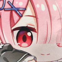 40cm Re: Zero Peluche Coussin Adorable